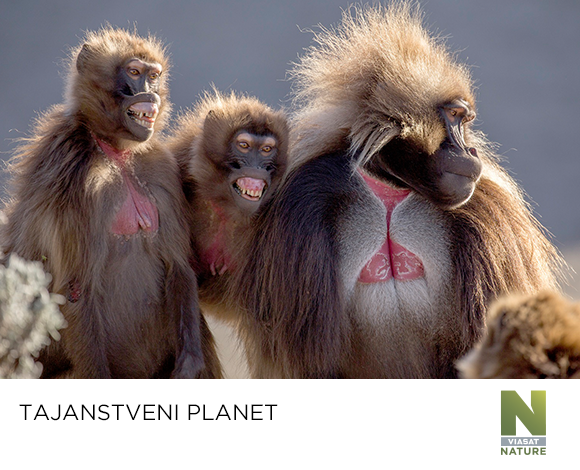 tajanstveni planet tajanstveni planet