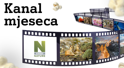 viasat nature viasat nature