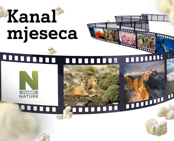 viasat nature viasat nature