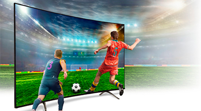 arena sport arena sport