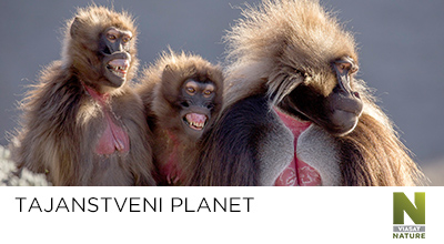 tajanstveni planet tajanstveni planet