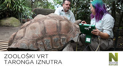 Zoološki vrt Taronga Zoološki vrt Taronga