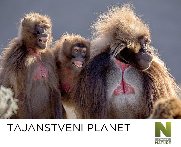 tajanstveni planet tajanstveni planet