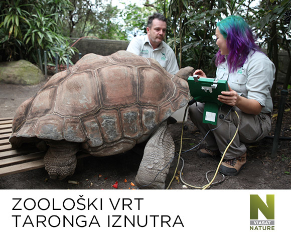 Zoološki vrt Taronga Zoološki vrt Taronga