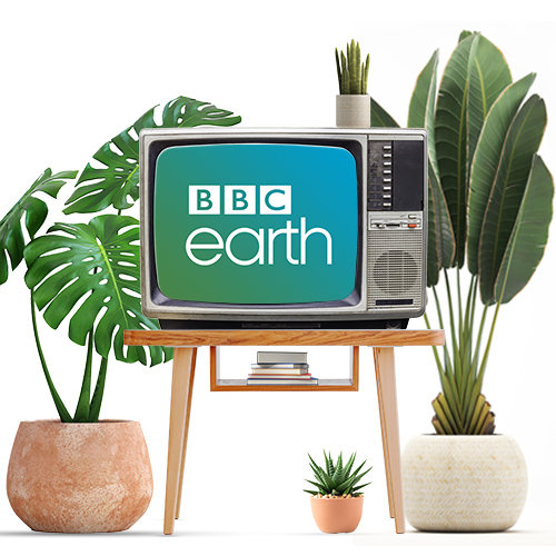 bbc earth bbc earth