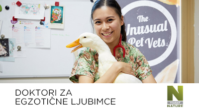 Doktori za egzotične ljubimce Doktori za egzotične ljubimce
