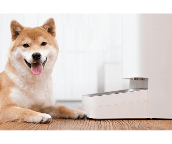 Xiaomi Smart Pet Food Feeder_za velike i male