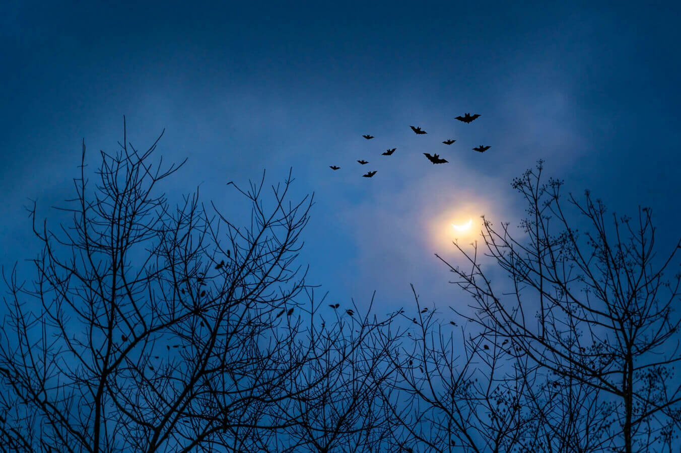 Bliži se najstrašnija noć u godini: 7 činjenica o Halloweenu koje samo ...