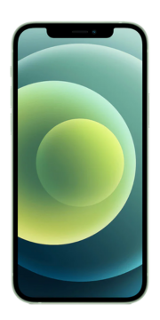 ZOOT iPhone 12